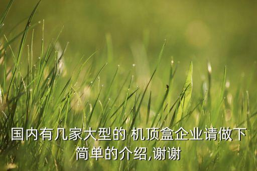 國內(nèi)有幾家大型的 機(jī)頂盒企業(yè)請(qǐng)做下簡(jiǎn)單的介紹,謝謝