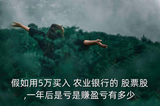 假如用5萬買入 農業(yè)銀行的 股票股,一年后是虧是賺盈虧有多少