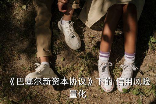 《巴塞爾新資本協(xié)議》下的 信用風(fēng)險量化