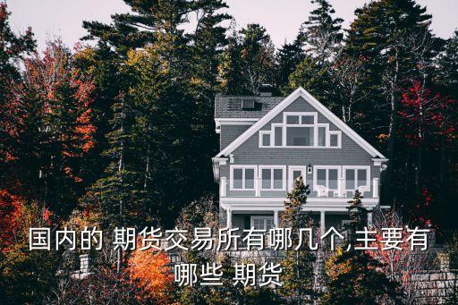 國(guó)內(nèi)的 期貨交易所有哪幾個(gè),主要有哪些 期貨