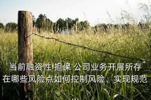 義馬市擔保公司現(xiàn)狀,品農(nóng)商用車擔保公司現(xiàn)狀