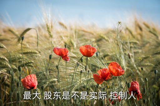 公司股東與實際控制人無關(guān),大股東和實際控制人的區(qū)別