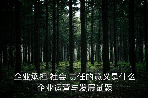  企業(yè)承擔(dān) 社會(huì) 責(zé)任的意義是什么 企業(yè)運(yùn)營(yíng)與發(fā)展試題