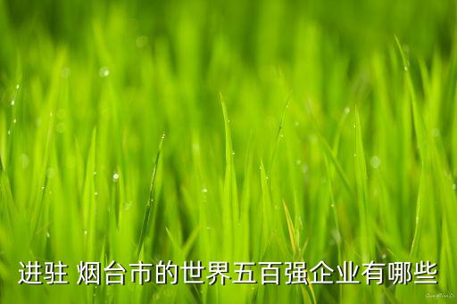 進(jìn)駐 煙臺(tái)市的世界五百強(qiáng)企業(yè)有哪些