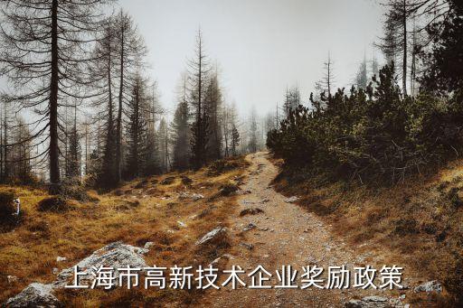 上海科創(chuàng)中心建設22條,上海國際科創(chuàng)中心建設