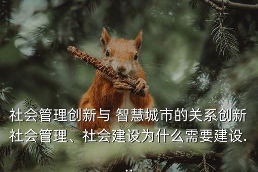 社會管理創(chuàng)新與 智慧城市的關系創(chuàng)新社會管理、社會建設為什么需要建設...