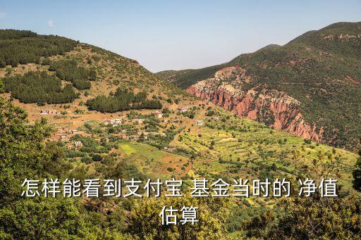 怎樣能看到支付寶 基金當時的 凈值估算