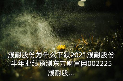 濮耐股份為什么下跌2021濮耐股份半年業(yè)績預(yù)測東方財(cái)富網(wǎng)002225濮耐股...