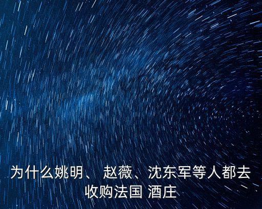 為什么姚明、 趙薇、沈東軍等人都去收購法國 酒莊