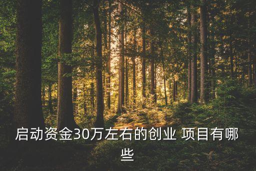 30萬(wàn)上下投資什么項(xiàng)目,我有30萬(wàn)應(yīng)該投資什么