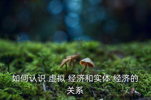 如何認(rèn)識 虛擬 經(jīng)濟(jì)和實(shí)體 經(jīng)濟(jì)的關(guān)系