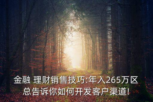 金融 理財(cái)銷售技巧:年入265萬(wàn)區(qū)總告訴你如何開(kāi)發(fā)客戶渠道!