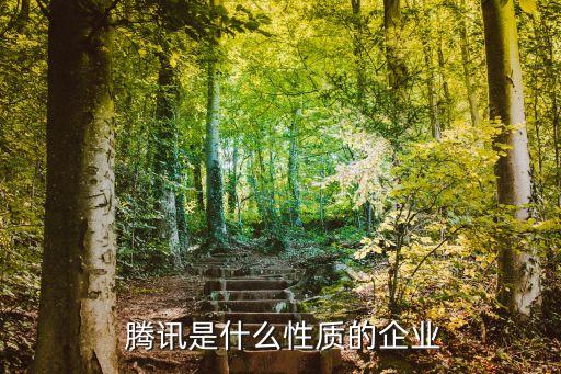  騰訊是什么性質的企業(yè)