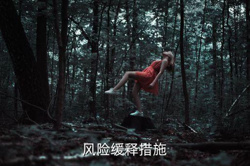 風(fēng)險緩釋措施