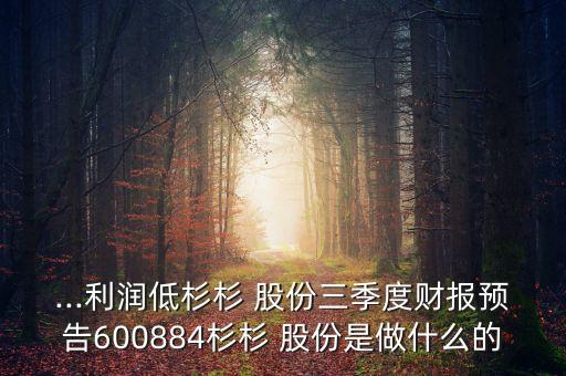 ...利潤低杉杉 股份三季度財報預告600884杉杉 股份是做什么的