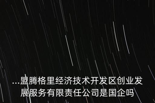 ...盟騰格里經(jīng)濟(jì)技術(shù)開發(fā)區(qū)創(chuàng)業(yè)發(fā)展服務(wù)有限責(zé)任公司是國(guó)企嗎