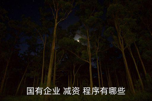 國(guó)有企業(yè) 減資 程序有哪些