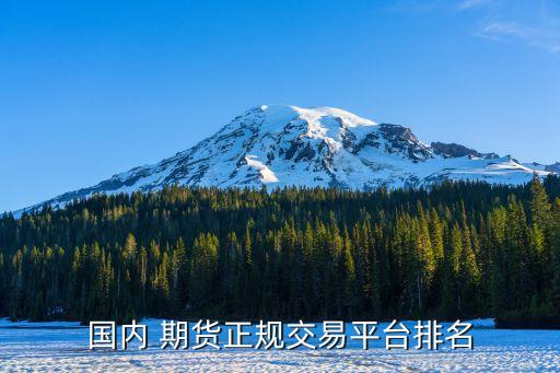 國(guó)內(nèi) 期貨正規(guī)交易平臺(tái)排名