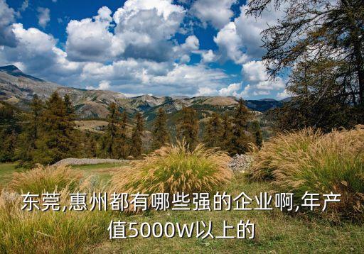 東莞,惠州都有哪些強的企業(yè)啊,年產值5000W以上的
