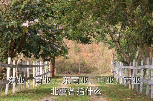 東亞、南亞、 東南亞、中亞、西亞、北亞各指什么