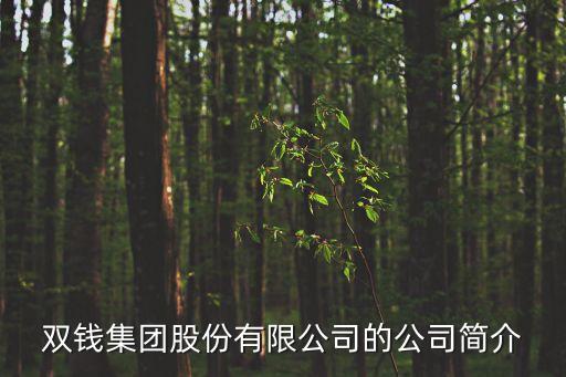 雙錢集團(tuán)股份有限公司的公司簡介