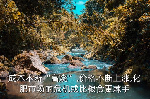 成本不斷“高燒”,價格不斷上漲,化肥市場的危機或比糧食更棘手