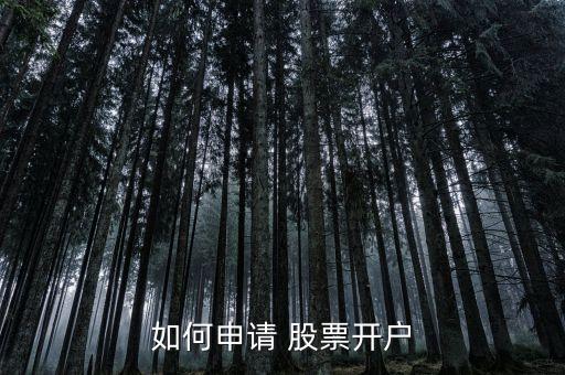 如何申請(qǐng) 股票開(kāi)戶