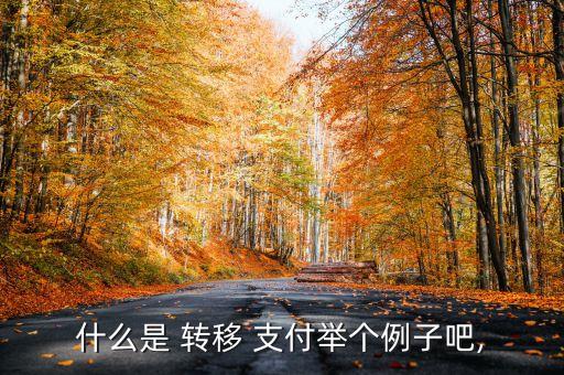 中國現(xiàn)金轉(zhuǎn)移支付項目,政府轉(zhuǎn)移支付包括哪些項目