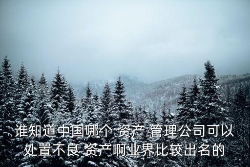 誰(shuí)知道中國(guó)哪個(gè) 資產(chǎn) 管理公司可以處置不良 資產(chǎn)啊業(yè)界比較出名的