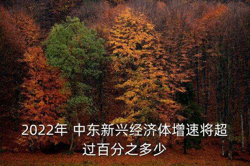 2022年 中東新興經(jīng)濟(jì)體增速將超過(guò)百分之多少