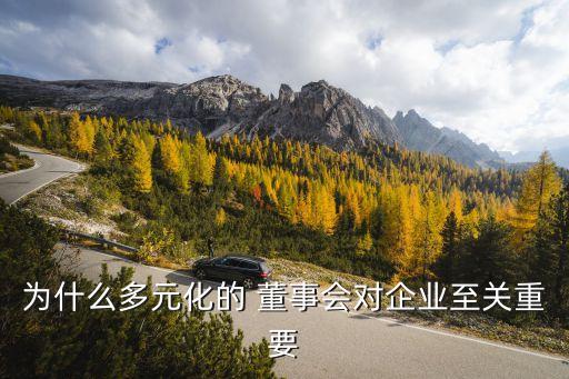 為什么多元化的 董事會對企業(yè)至關重要