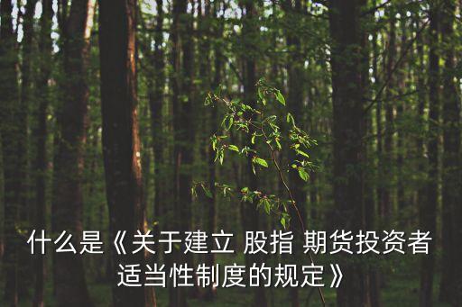 中國(guó)股指期貨市場(chǎng)監(jiān)管部門
