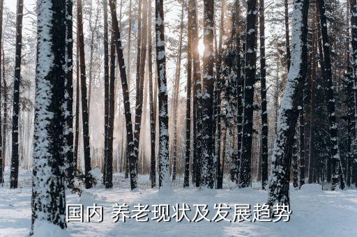 國內(nèi) 養(yǎng)老現(xiàn)狀及發(fā)展趨勢(shì)
