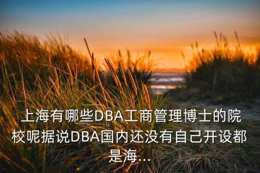  上海有哪些DBA工商管理博士的院校呢?fù)?jù)說DBA國(guó)內(nèi)還沒有自己開設(shè)都是海...