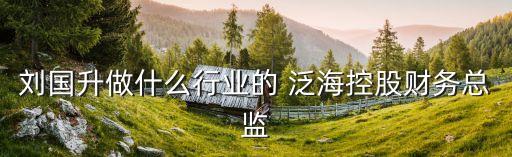 劉國升做什么行業(yè)的 泛海控股財務總監(jiān)