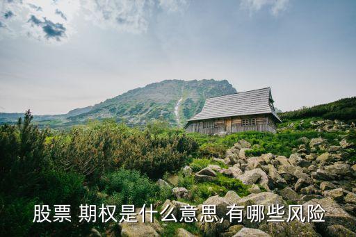  股票 期權是什么意思,有哪些風險