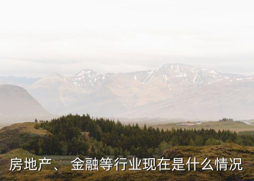 房地產(chǎn)、 金融等行業(yè)現(xiàn)在是什么情況