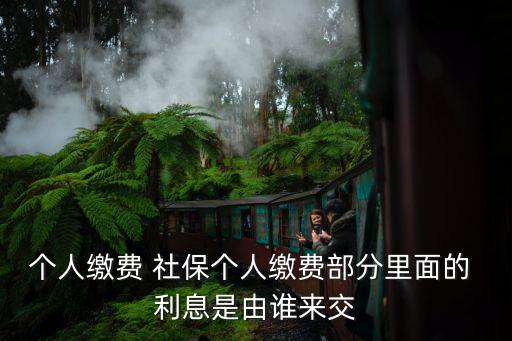 個(gè)人繳費(fèi) 社保個(gè)人繳費(fèi)部分里面的 利息是由誰(shuí)來交