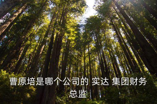 曹原培是哪個公司的 實達(dá) 集團(tuán)財務(wù)總監(jiān)