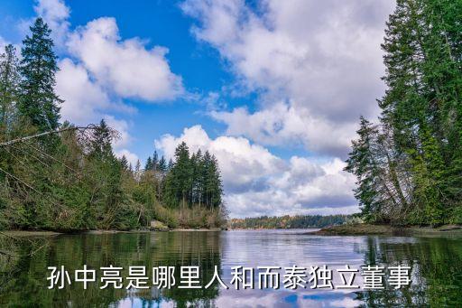 孫中亮是哪里人和而泰獨立董事