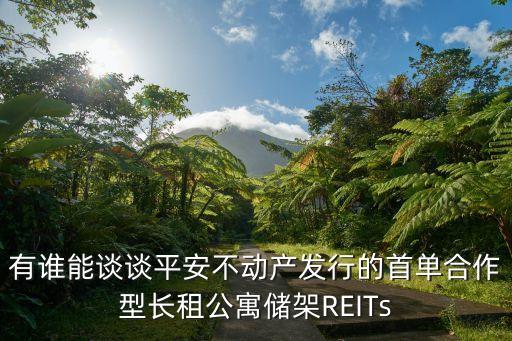 有誰能談談平安不動產(chǎn)發(fā)行的首單合作型長租公寓儲架REITs