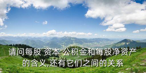 請問每股 資本 公積金和每股凈資產(chǎn)的含義,還有它們之間的關系