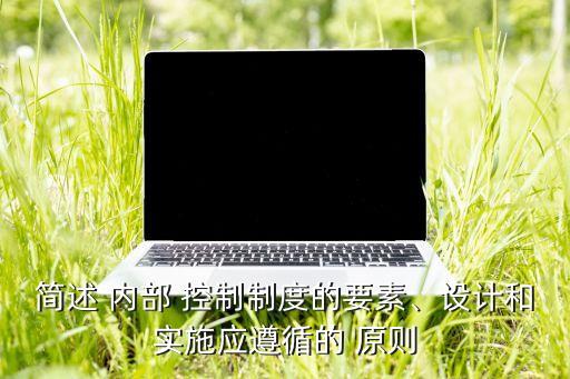 簡(jiǎn)述 內(nèi)部 控制制度的要素、設(shè)計(jì)和實(shí)施應(yīng)遵循的 原則