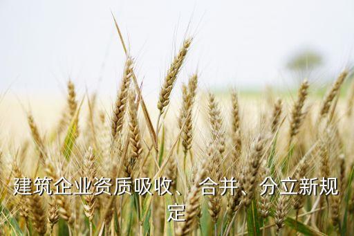 建筑企業(yè)資質(zhì)吸收、 合并、分立新規(guī)定