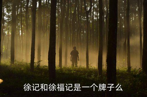 徐氏控股股份有限公司,國(guó)投電力控股股份有限公司