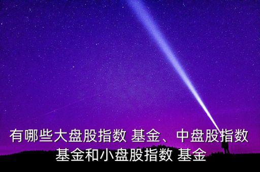 有哪些大盤股指數(shù) 基金、中盤股指數(shù) 基金和小盤股指數(shù) 基金