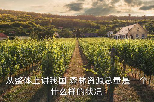 從整體上講我國(guó) 森林資源總量是一個(gè)什么樣的狀況