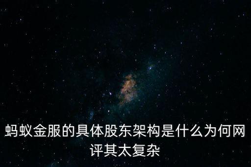 螞蟻金服的具體股東架構(gòu)是什么為何網(wǎng)評其太復雜