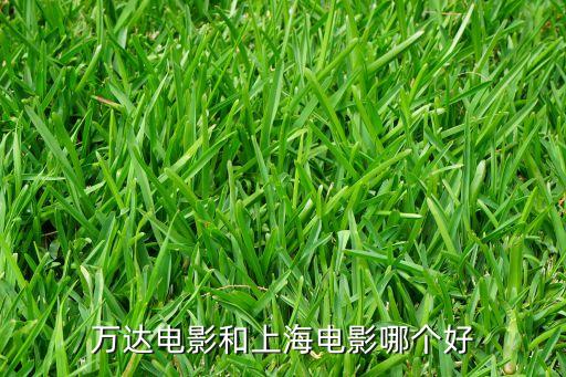 天下票倉(cāng)是上影股份子公司嗎