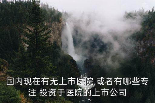 國內(nèi)現(xiàn)在有無上市醫(yī)院,或者有哪些專注 投資于醫(yī)院的上市公司